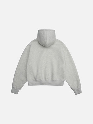 Snow Gray